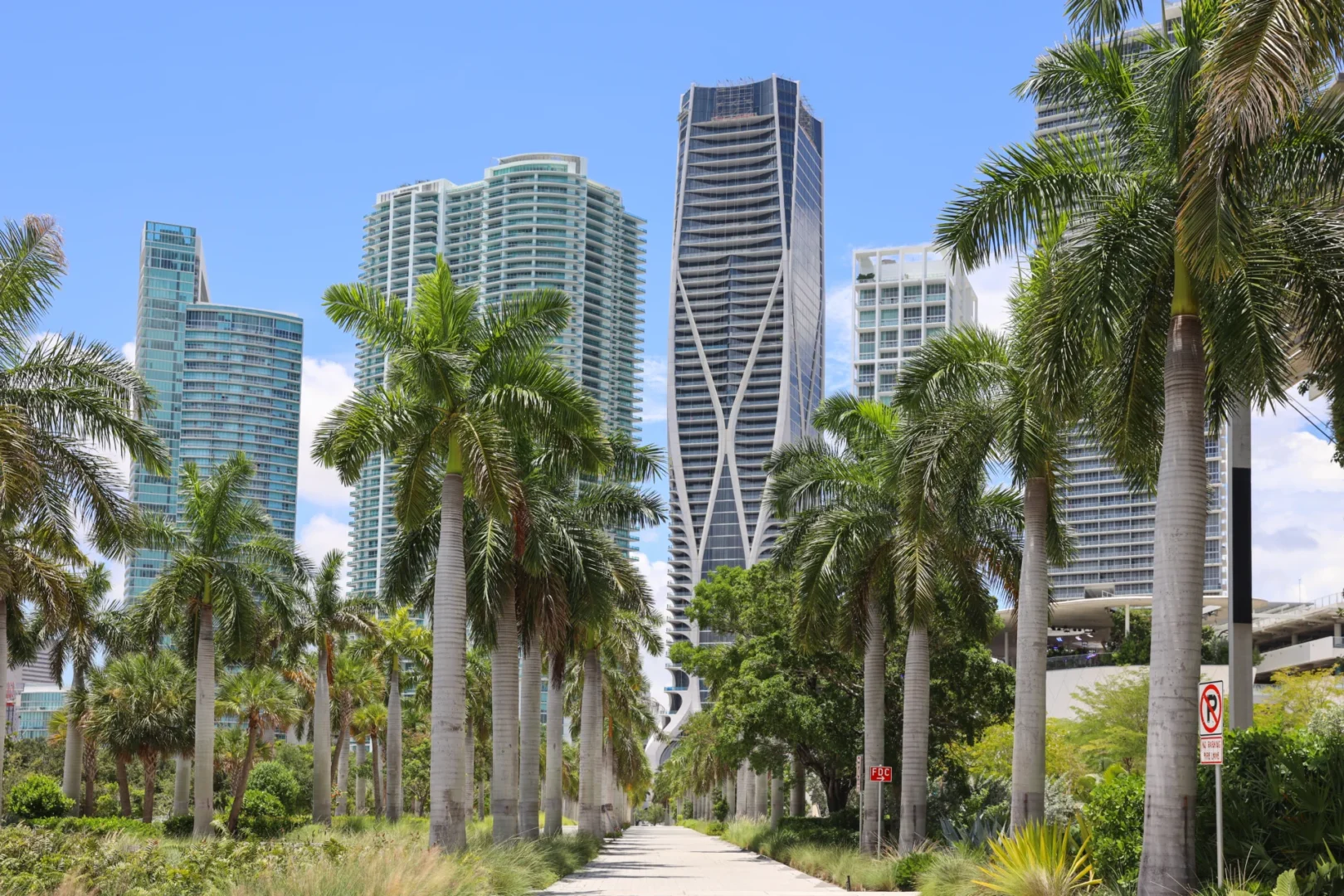 Palm trees line a path leading toward several skyscrapers including the One Thousand Museum