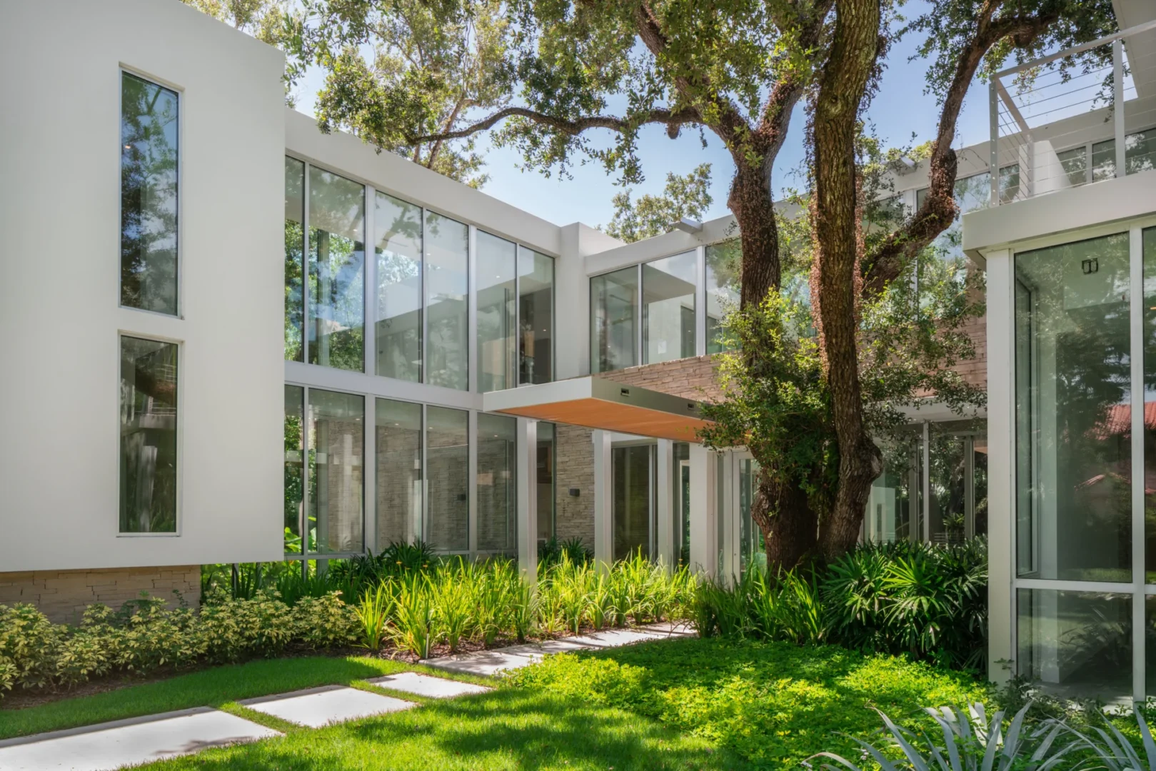 Large trees stand beside the white, glass-walled South Miami Residence surrounded by green plants and grass
