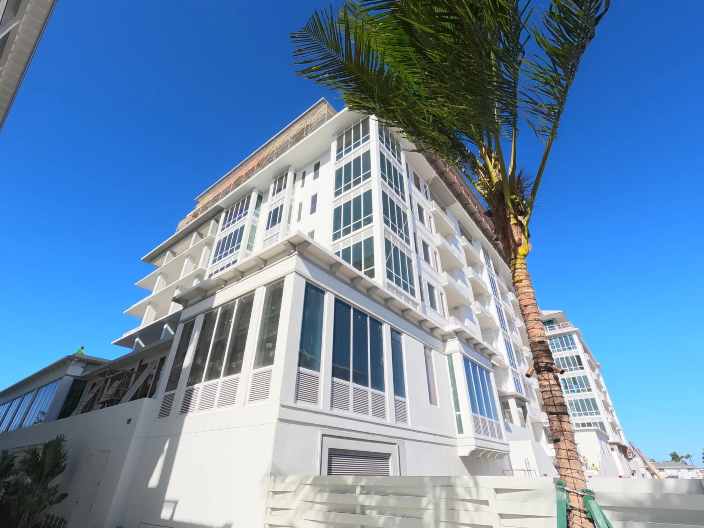 Una alta palmera se alza junto al edificio blanco del Four Seasons Resort & Residences de Naples Beach, bajo un cielo azul.