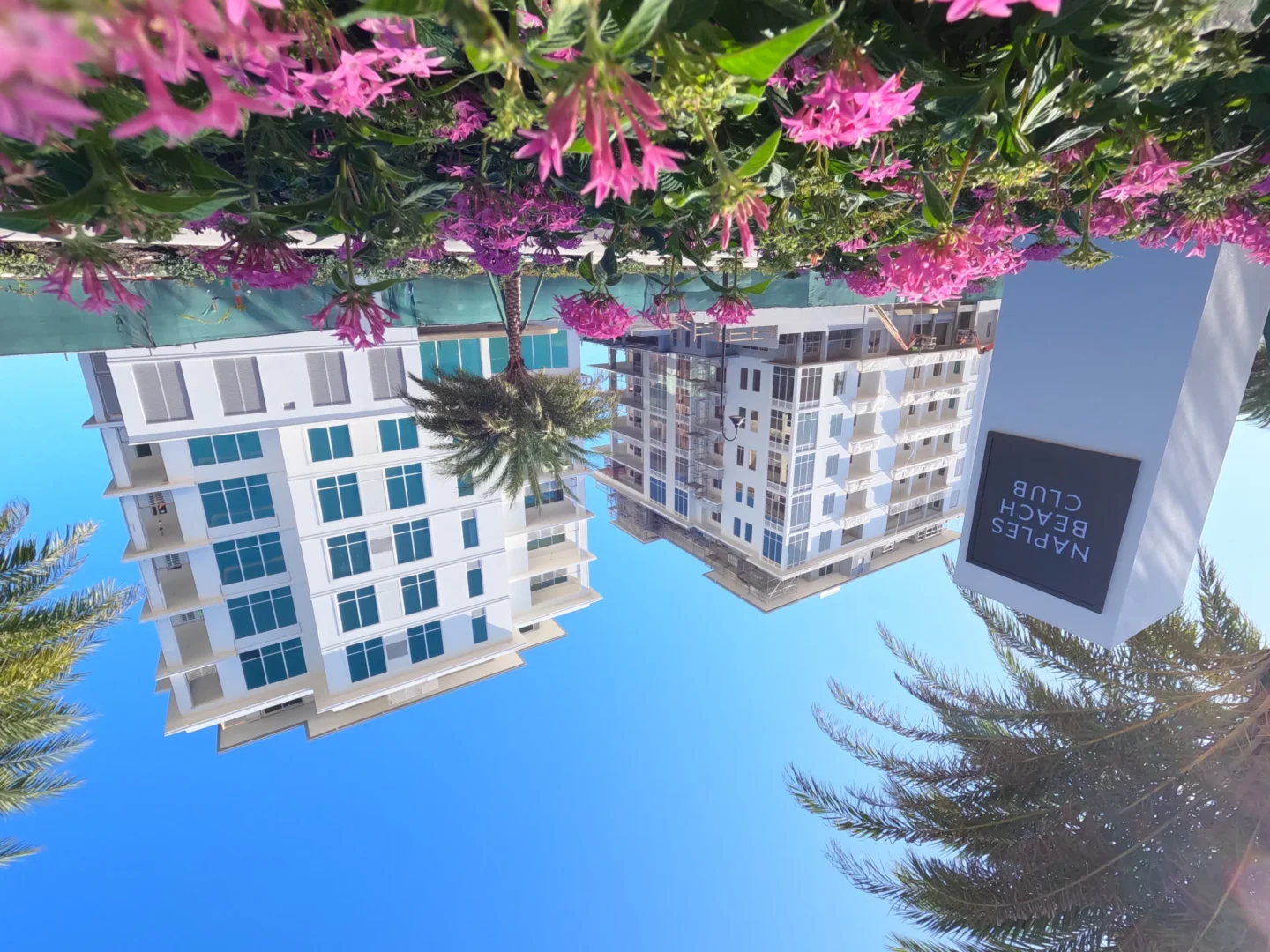 Las flores rosas en primer plano enmarcan los edificios blancos y las palmeras del Four Seasons Resort & Residences de Naples Beach bajo un cielo azul.