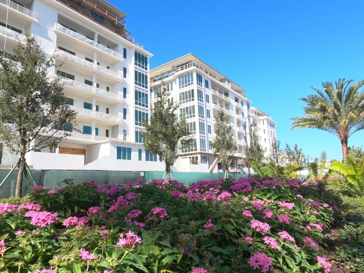 Las flores rosas y la vegetación se alzan frente a los edificios de varias plantas con balcones del Four Seasons Resort & Residences de Naples Beach.